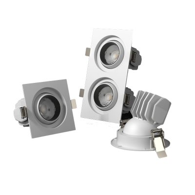 Eyeball Rotating Downlight