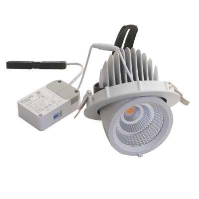 Gimbal LED Downlight